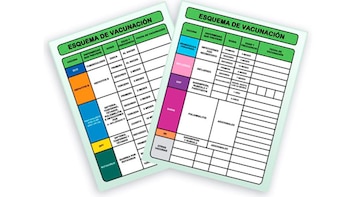 Cómo tramitar o reponer la