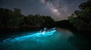 Persona en bote con remo sobre agua bioluminiscente, rodeado de manglares oscuros, bajo un cielo nocturno estrellado con la Vía Láctea.