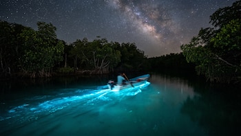 Lagunas de Chacahua: el rincón escondido de Oaxaca donde el agua se ilumina al anochecer
