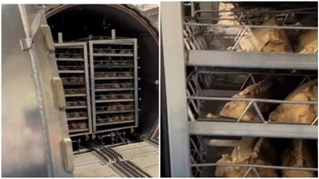 (Soyrafacarbajal/Youtube)