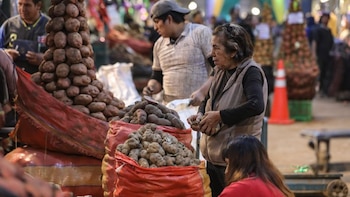 No te dejes engañar: estos