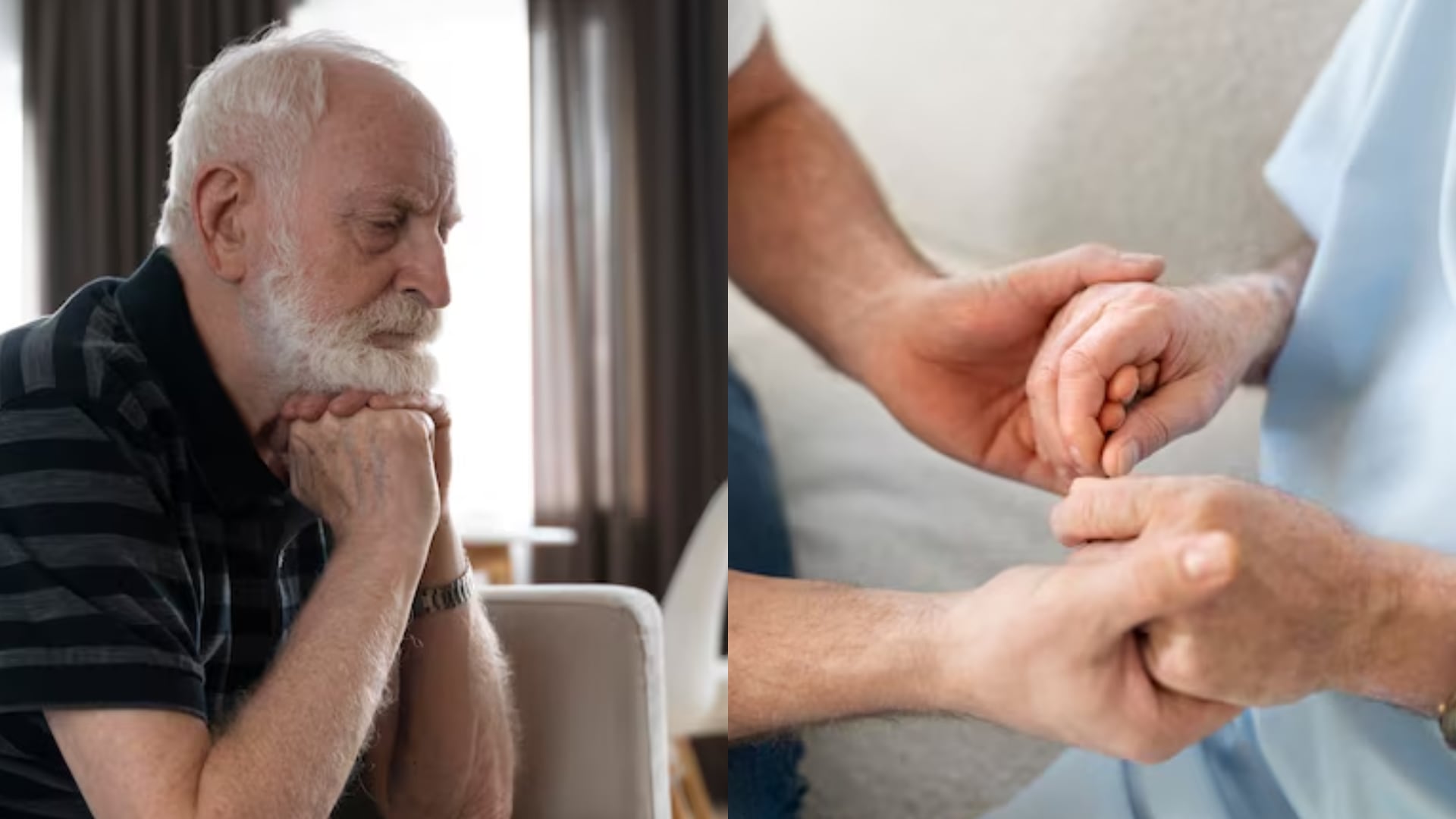 Los avances en neurociencia asocian alteraciones intestinales previas con el desarrollo de enfermedades neurodegenerativas años más tarde (Freepik)