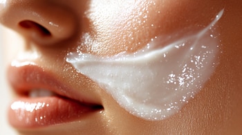 Estudios confirman que los hongos