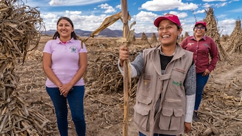 Producción para el Bienestar: estas