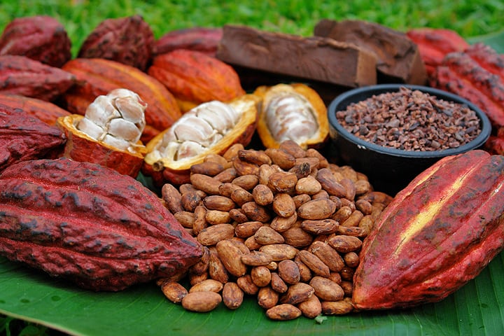 En territorio peruano, el cultivo de cacao se extiende por cerca de 280 mil hectáreas, concentrándose mayoritariamente en las zonas selváticas del país. Foto: ComexPerú