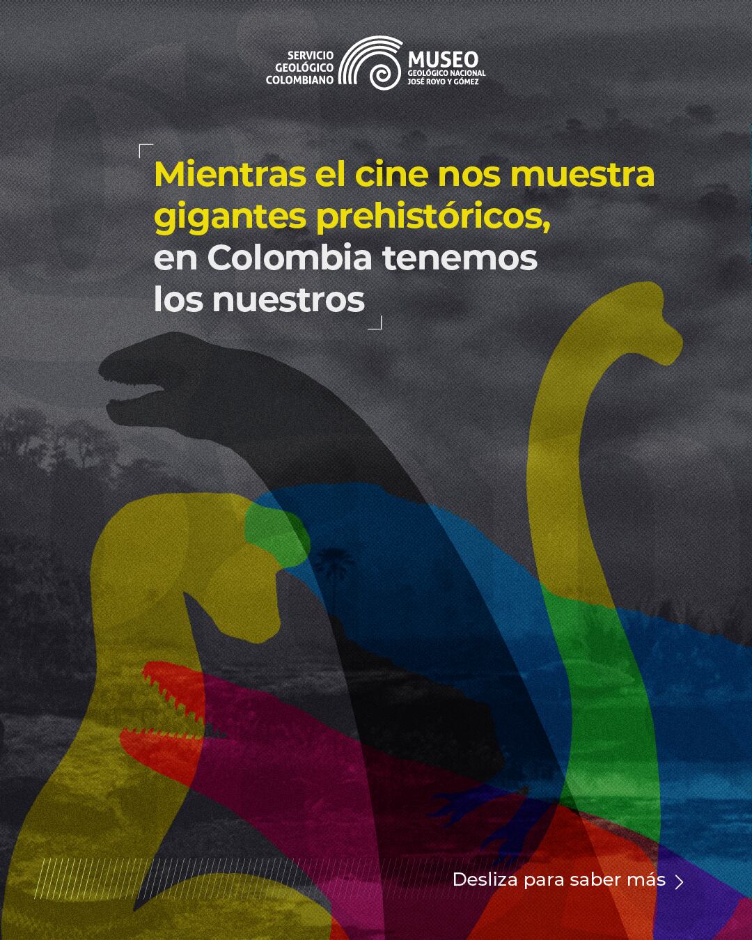 Se presentaron fósiles descubiertos en varias regiones del país, evidenciando la presencia de reptiles marinos, mamíferos gigantes y dinosaurios - crédito Servicio Geológico Colombiano