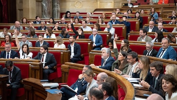 El Parlament aprueba regular el
