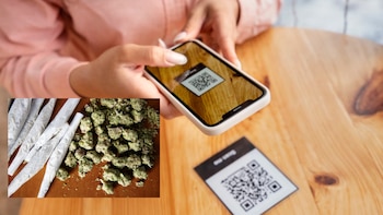 Narcos transportaban marihuana con código