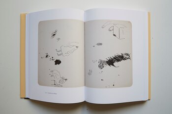 Un volumen reúne por primera