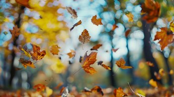 La información del estado del