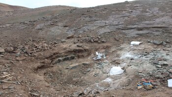 Por la pandemia, los treinta