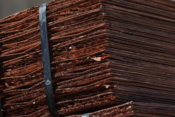 Imagen de archivo de un