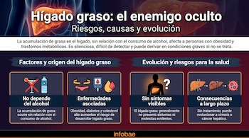 Infografía sobre el hígado graso dividida en cuatro secciones con texto e íconos explicativos y el logotipo de Infobae en el pie de página.