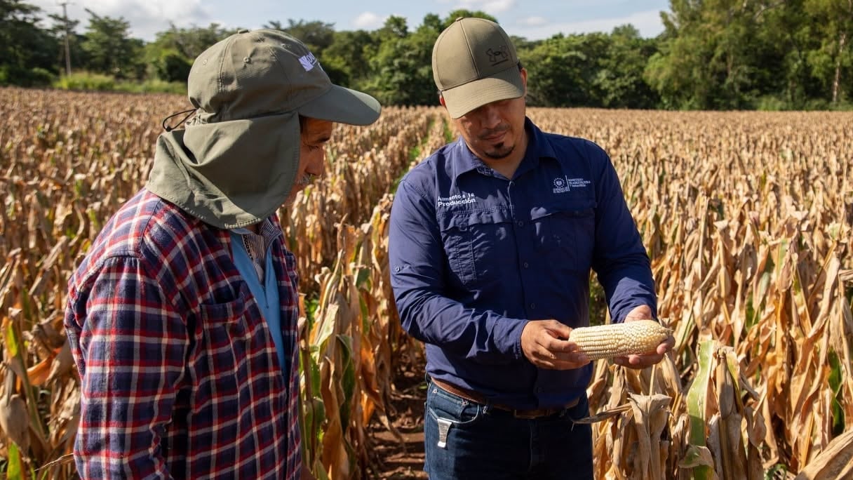 El Salvador impulsará al occidente como eje del abastecimiento nacional de granos (Foto cortesía Ministerio de Agricultura)