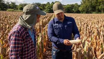 El Salvador impulsará al occidente como eje del abastecimiento nacional de granos (Foto cortesía Ministerio de Agricultura)