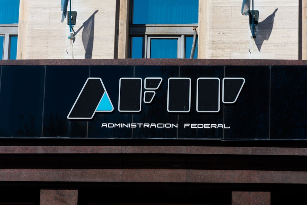 La AFIP subrayó que la eliminación del CUSE forma parte de un proceso de revisión normativa que busca agilizar y optimizar los procesos relacionados con el comercio exterior (Foto: Shutterstock)