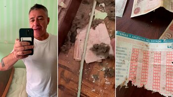 Un hallazgo sorprendente durante una