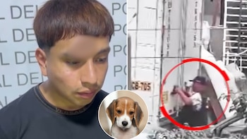 “Robo por mi perrito que está mal, jefe”: la insólita confesión de detenido por robo en manada en El Agustino