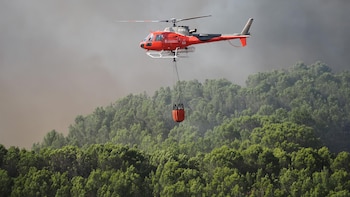 Declarado un incendio en Almonte que moviliza a un helicóptero y a dos aviones de carga en tierra