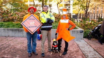 Cada año se lleva a