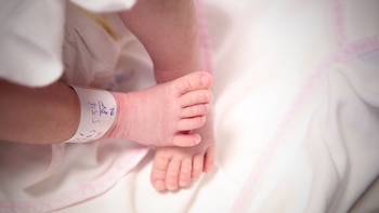 Los agentes infecciosos y la