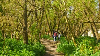 La historia de transformación del