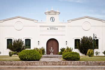 El Esteco Odl Vines Torrontés - El Esteco