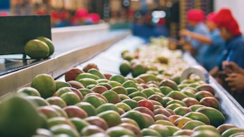 Las regiones del interior del país fueron responsables del 81% de las agroexportaciones registradas en 2025, consolidándose como el principal origen de los envíos al exterior.