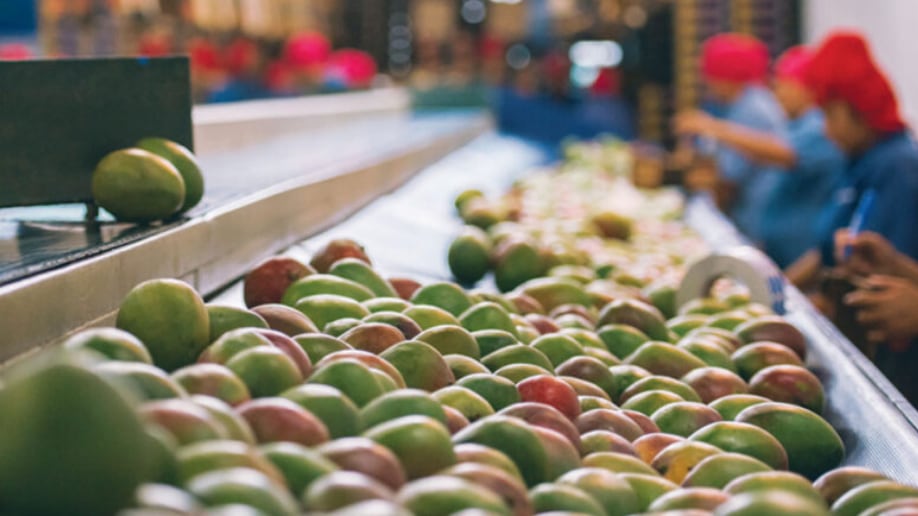 Las regiones del interior del país fueron responsables del 81% de las agroexportaciones registradas en 2025, consolidándose como el principal origen de los envíos al exterior. Foto: Industria Alimentaria