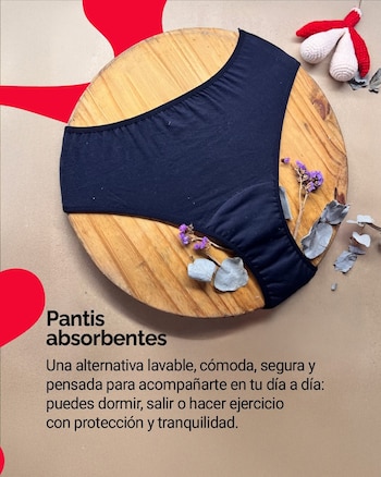 El proceso de solicitud digital