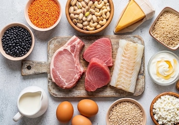 Múltiples fuentes de proteína: chuleta de cerdo, atún, pescado blanco, huevos, leche, yogur, queso, frijoles negros, lentejas, frutos secos y cereales variados
