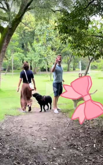 La usuaria aseguró que los animales no estaban bajo control cuando ocurrió el supuesto ataque y cuestionó a sus dueños por su reacción.