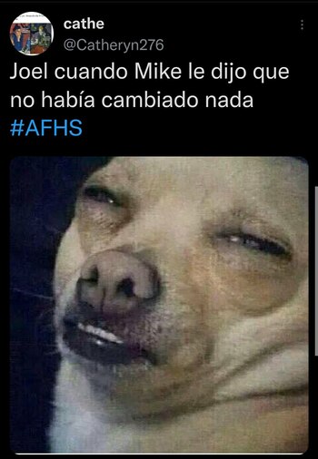 Los divertidos memes del regreso