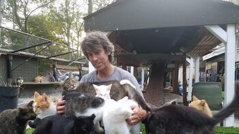 Qué pasó con los más