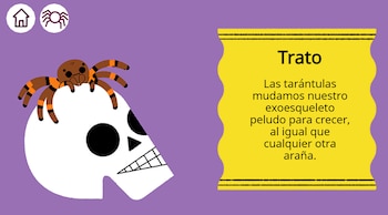 Tarántula (Foto: Google)