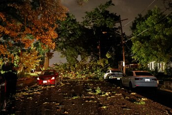 Un gran árbol se encuentra al otro lado de una calle residencial, después de que cayera durante un tornado, en Gaithersburg, Maryland, EE.UU., 5 de junio de 2024. REUTERS/Allison Bailey