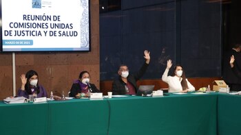 Las comisiones de Salud y