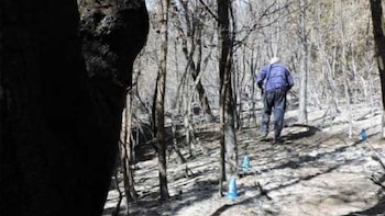 Confirmaron que el incendio que