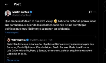 Martín Santos contestó a Vicky