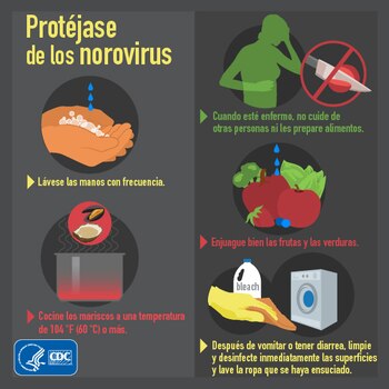 Cómo protegernos de los norovirus