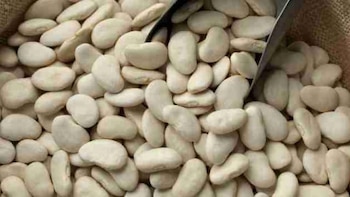 Las raíces históricas del pallar