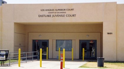 Los Ángeles suspendió a 66 agentes de libertad condicional por sospechas de mala conducta, abusos a menores y fuerza excesiva