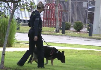 Bella fue más que una