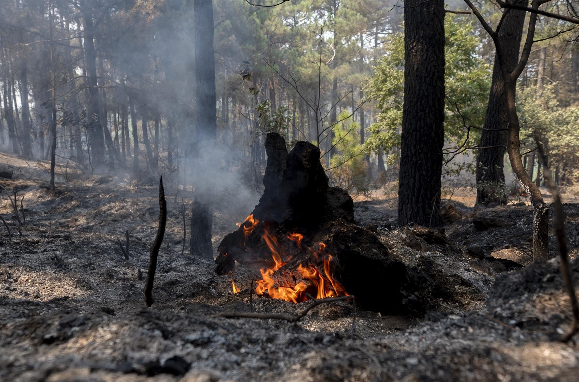 Última hora de los incendios en España, en directo: los primeros evacuados regresan a sus casas mientras los fuegos siguen activos en Ávila-Madrid y La Vall d’Uixó