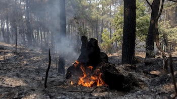 Última hora de los incendios en España, en directo: los primeros evacuados regresan a sus casas mientras los fuegos siguen activos en Ávila-Madrid y La Vall d’Uixó