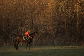 Una mujer con chaqueta roja montada sobre un caballo marrón en un prado frente a varios árboles al atardecer