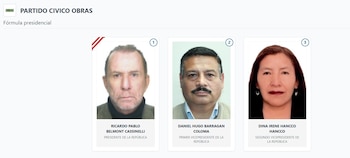 Lista de vicepresidentes en Perú 2026: estos son los acompañantes de cada candidato: Captura: ONPE.