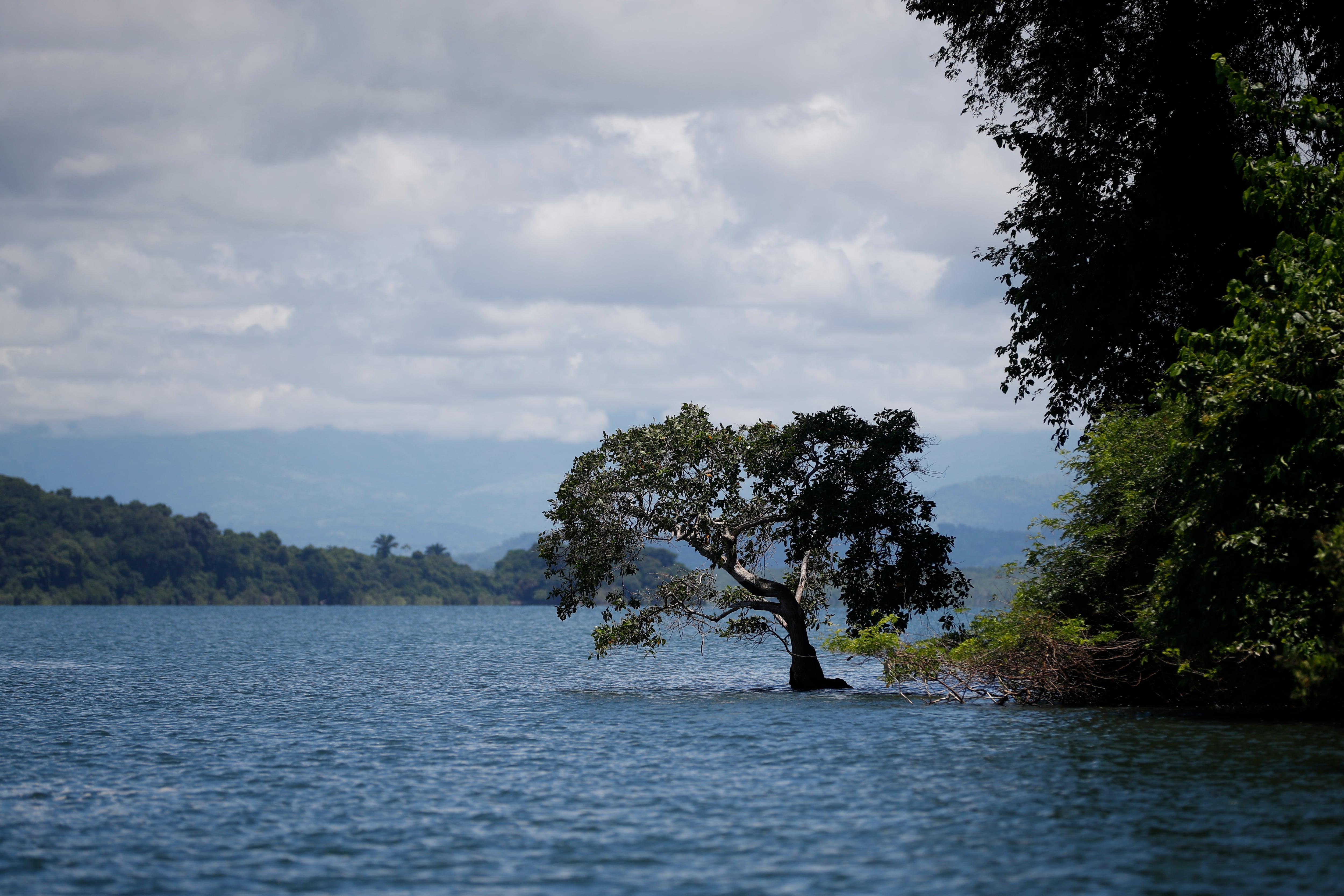 El diagnóstico identifica tres problemas prioritarios en el Pacífico panameño: declive de los recursos pesqueros, contaminación por vertidos y residuos sólidos, y aumento de especies invasoras. EFE/ Bienvenido Velasco
