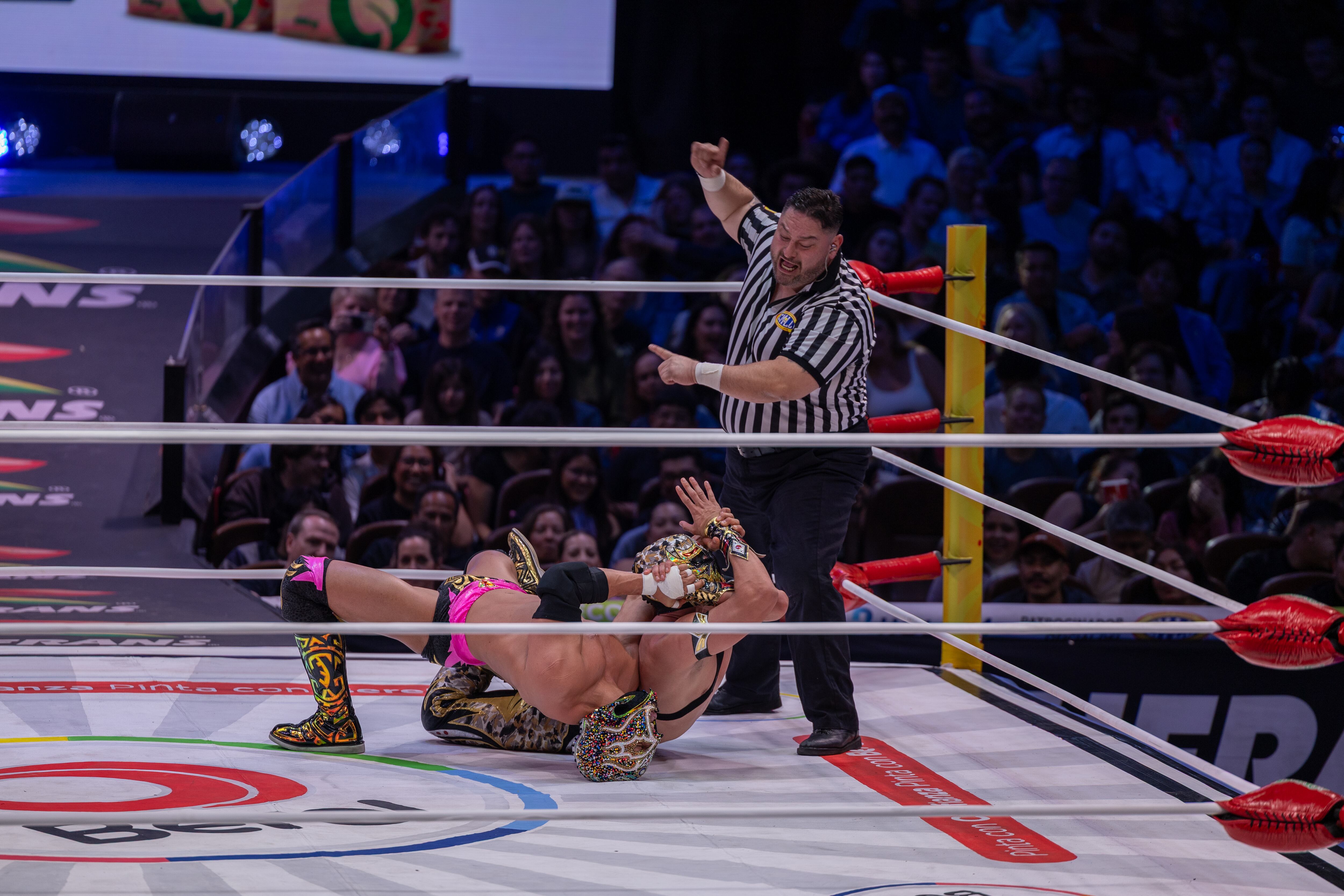 (CMLL / Diego Cedrix)