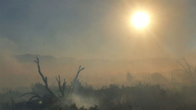 El proyecto forma parte del plan ProCLIM AR que integra restauración ambiental educación y desarrollo comunitario en la región